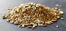 fennel-seed